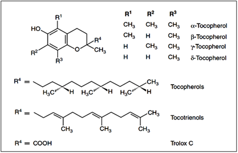 Antioxydants