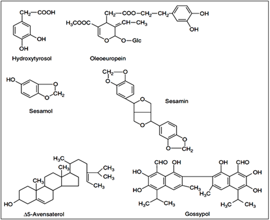 Antioxydants