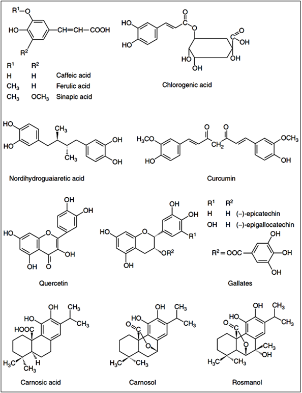 Antioxydants